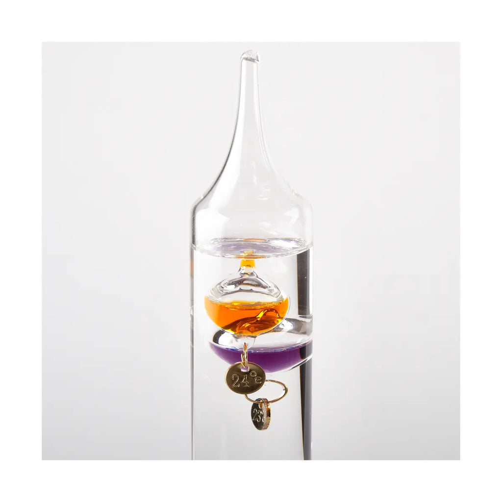 The Galileo Thermometer