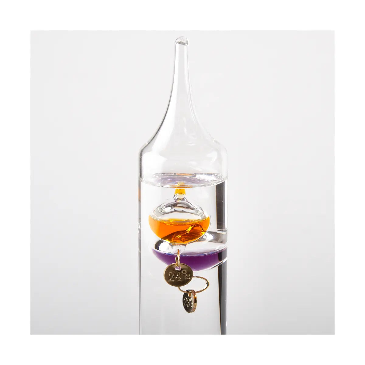The Galileo Thermometer