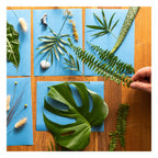 Solar Photo Paper - Large