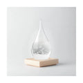The Large Fitzroy Storm Glass