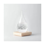 The Large Fitzroy Storm Glass