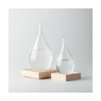 The Large Fitzroy Storm Glass