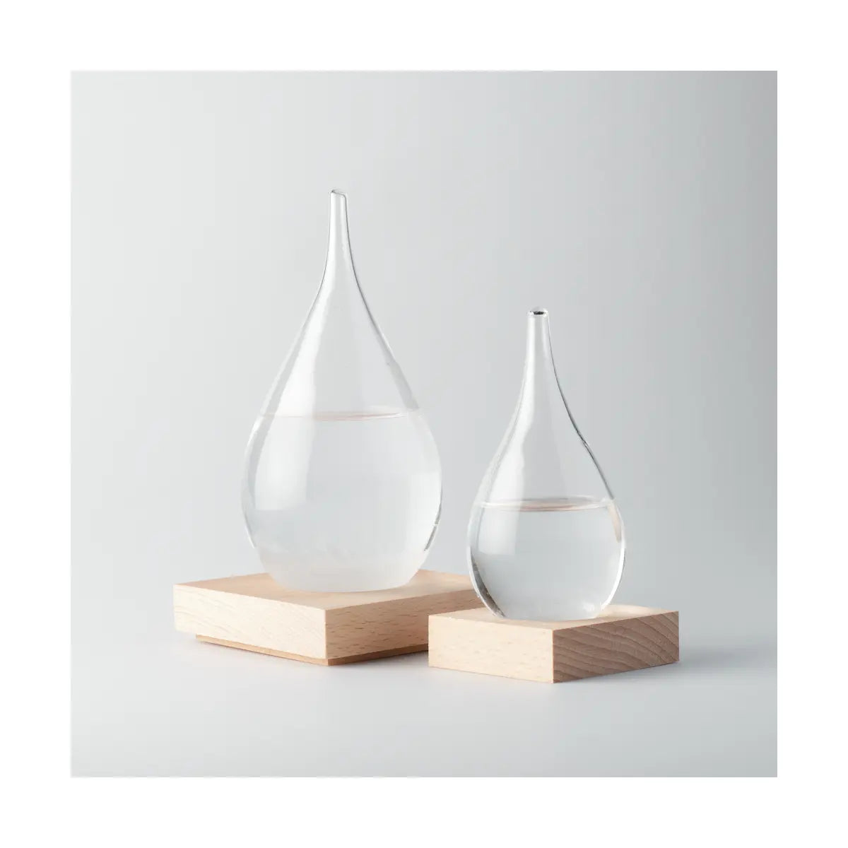 The Large Fitzroy Storm Glass