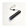 The Blacklight Torch