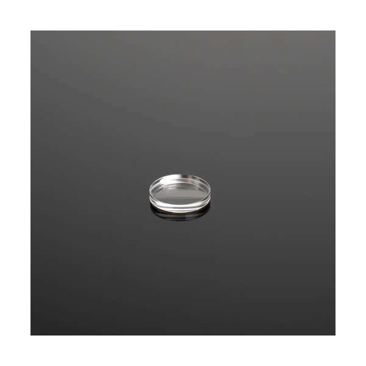 Acrylic Lens OM1a, f=-65 mm, D=16.2 mm